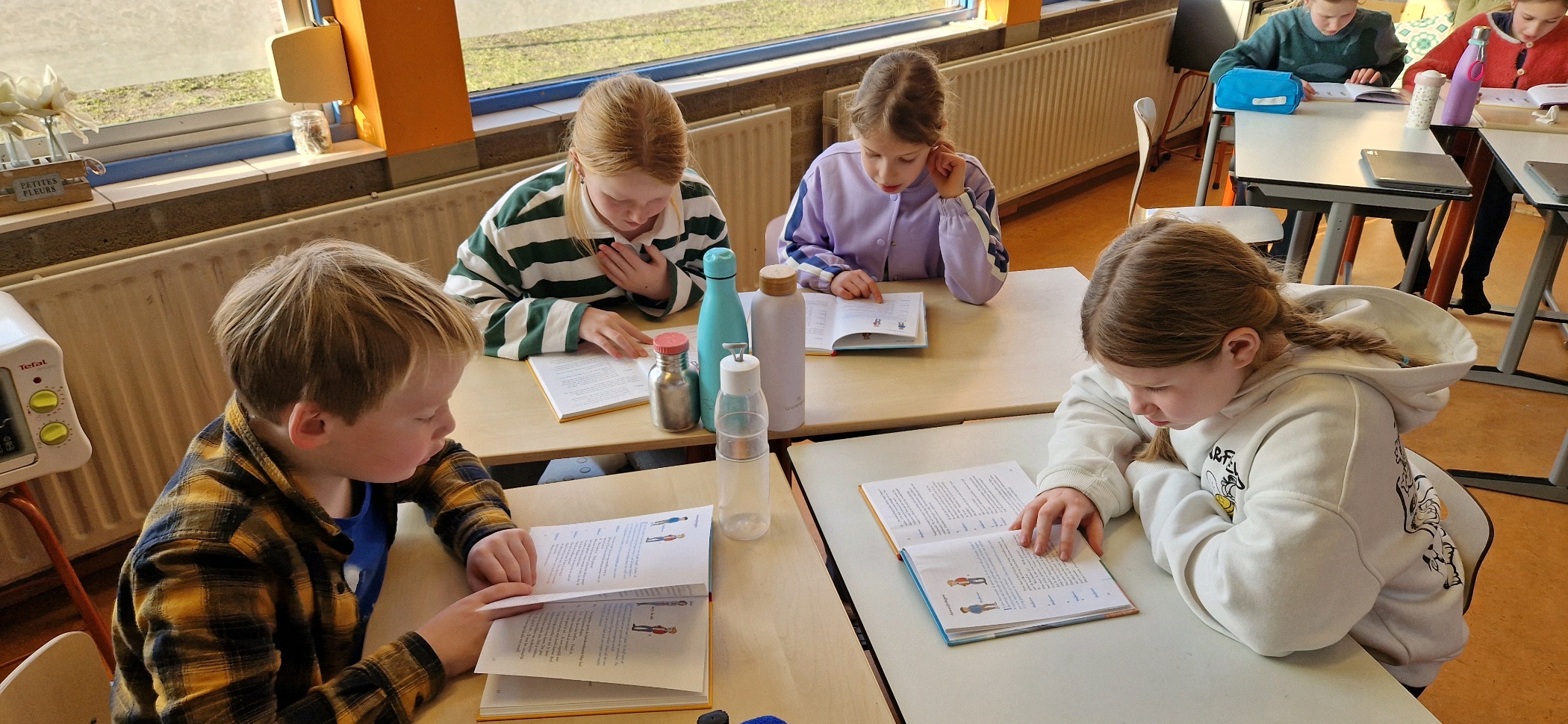 2026, Groep 6 2026, Groep 6